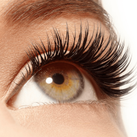Brow Wax & Tint