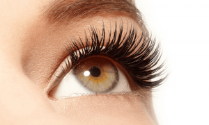 Brow Wax & Tint